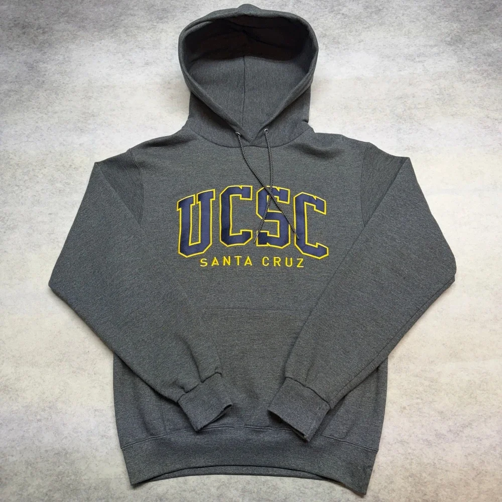 Champion UCSC Santa Cruz Hoodie‎ Mens Small Gray Y2K Collegiate Sweatshirt